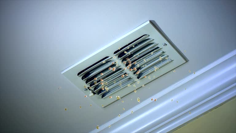 Best Residential Air Duct Cleaning  in Boyne City, MI
