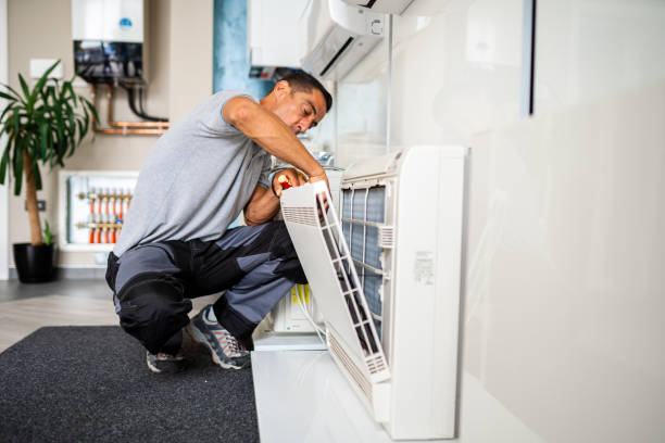 Best Air Duct Sanitizing Services  in Boyne City, MI
