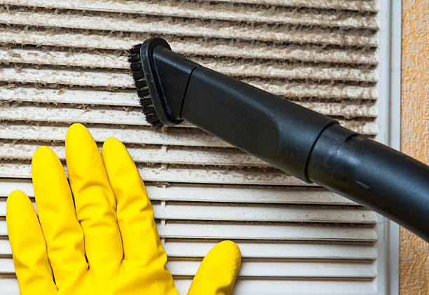 Best Local Air Duct Cleaning Services  in Boyne City, MI